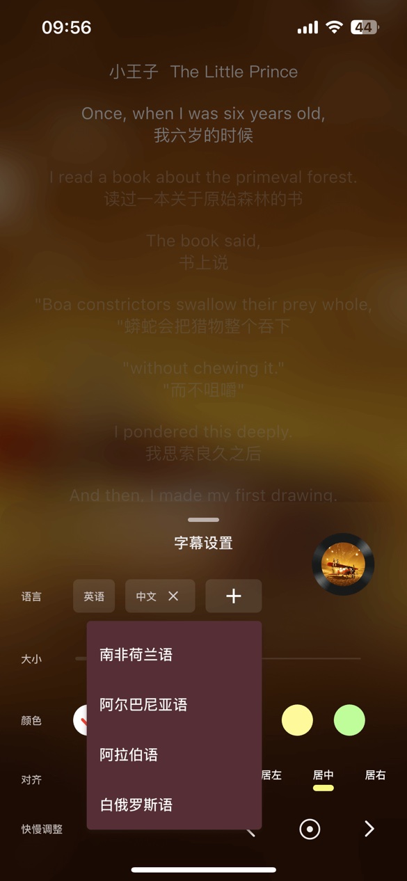 Conut 个性化字幕设置界面